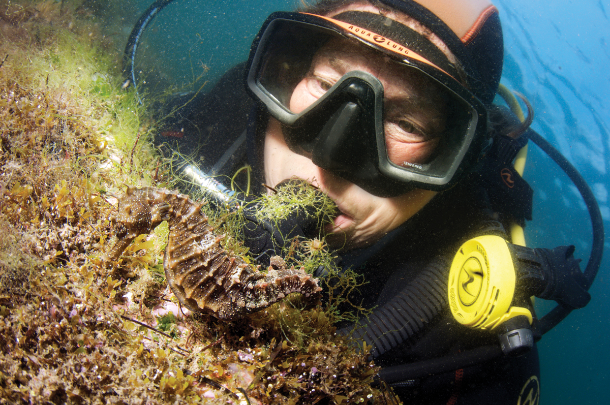 Sea Hero Amanda Vincent Dives with Seahorse