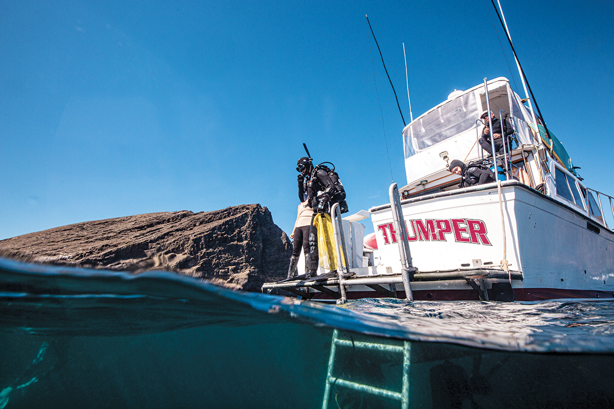 Diver on boat