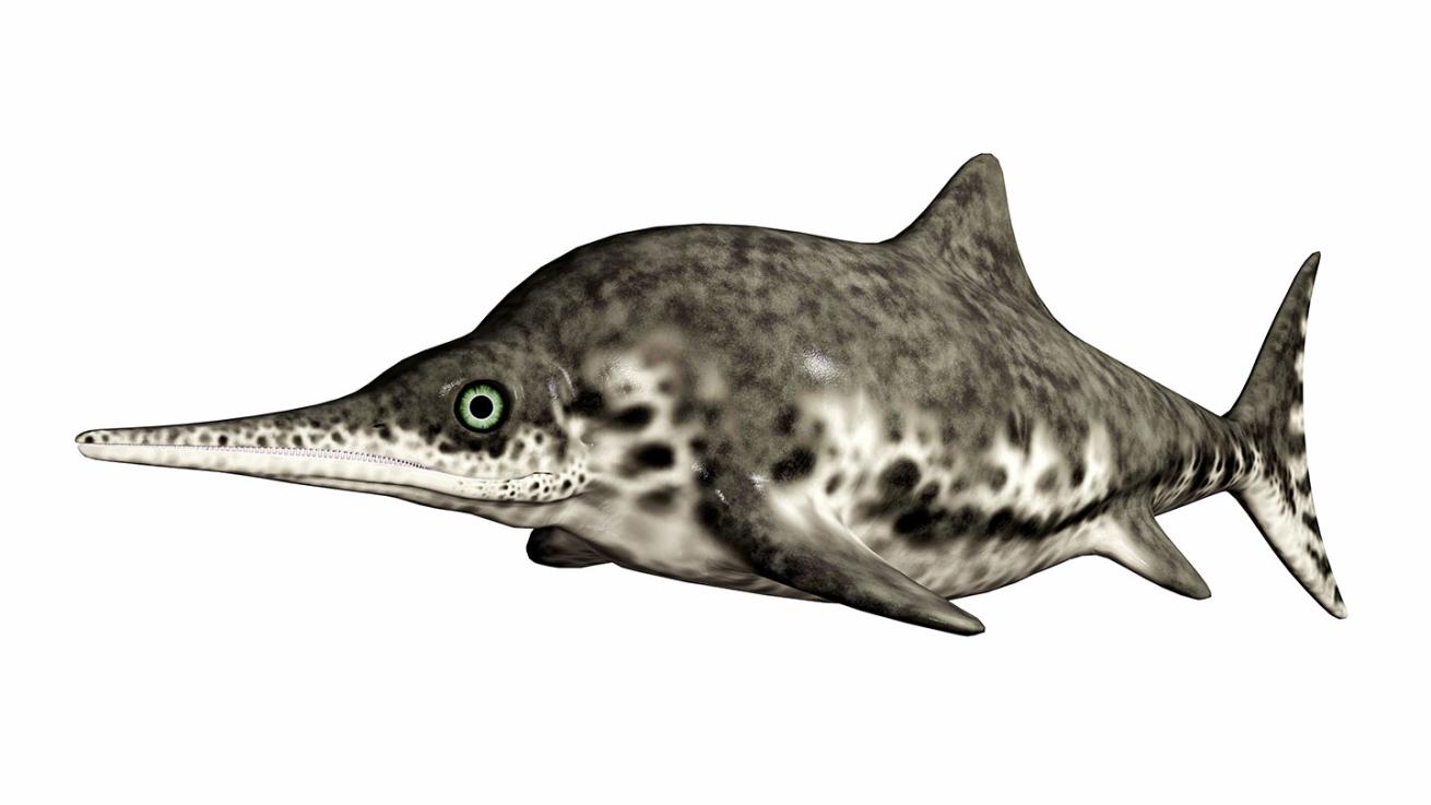 icthyosaur