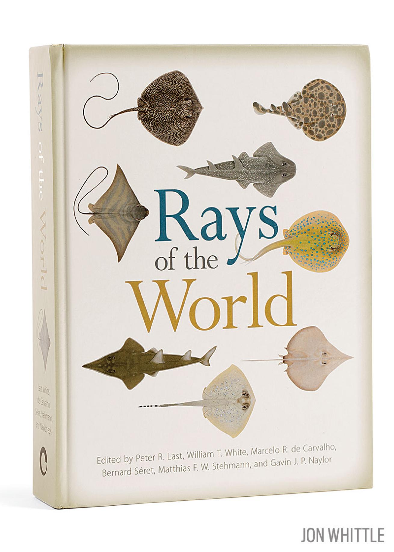 Rays of the World