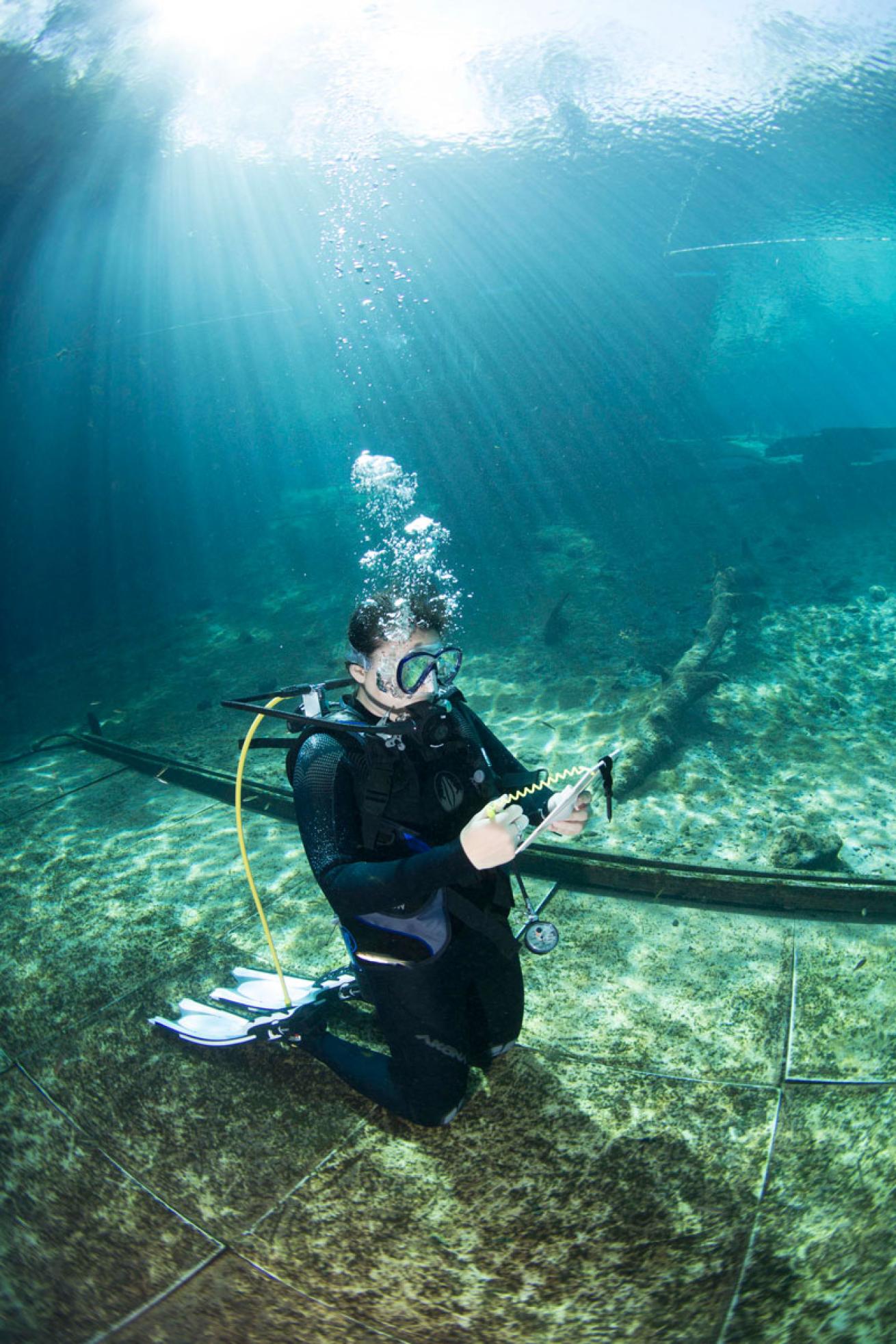 scuba diver testing gear