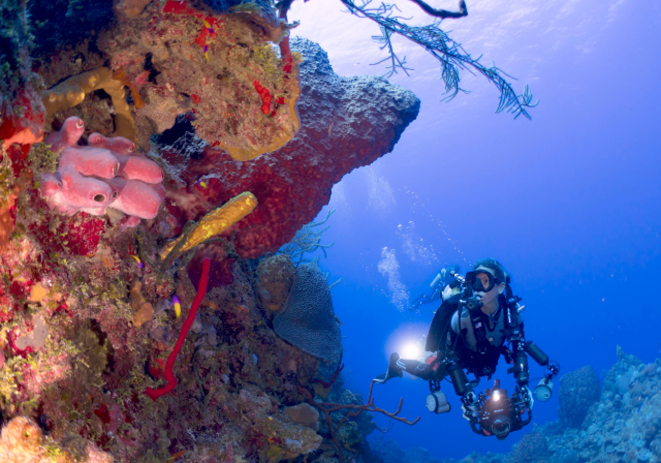 Scuba diver underwater holding a camera