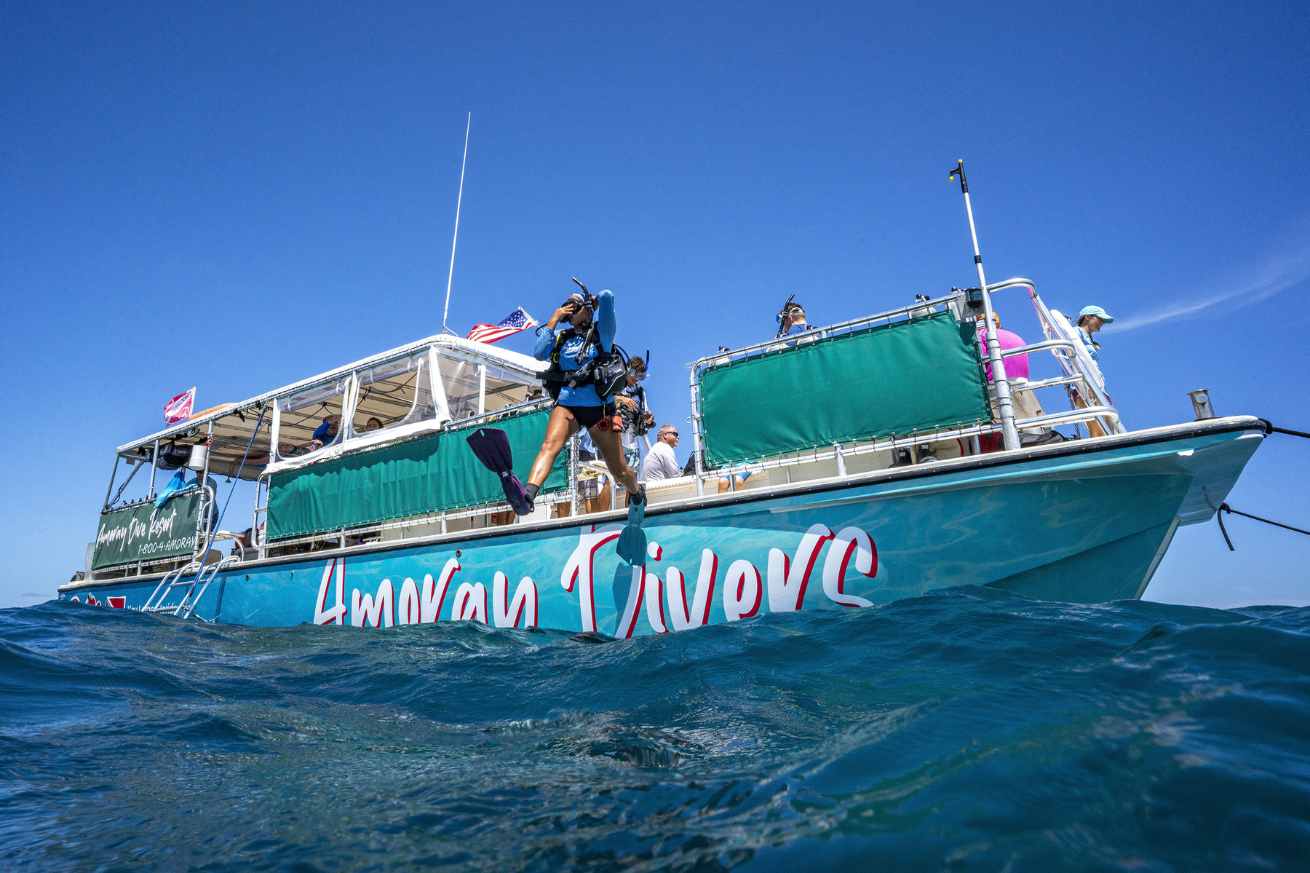 A diver divining off a boat