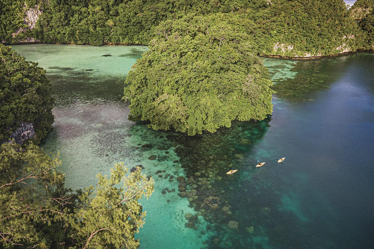 Guests paddle kayaks past lush limestone outcroppings