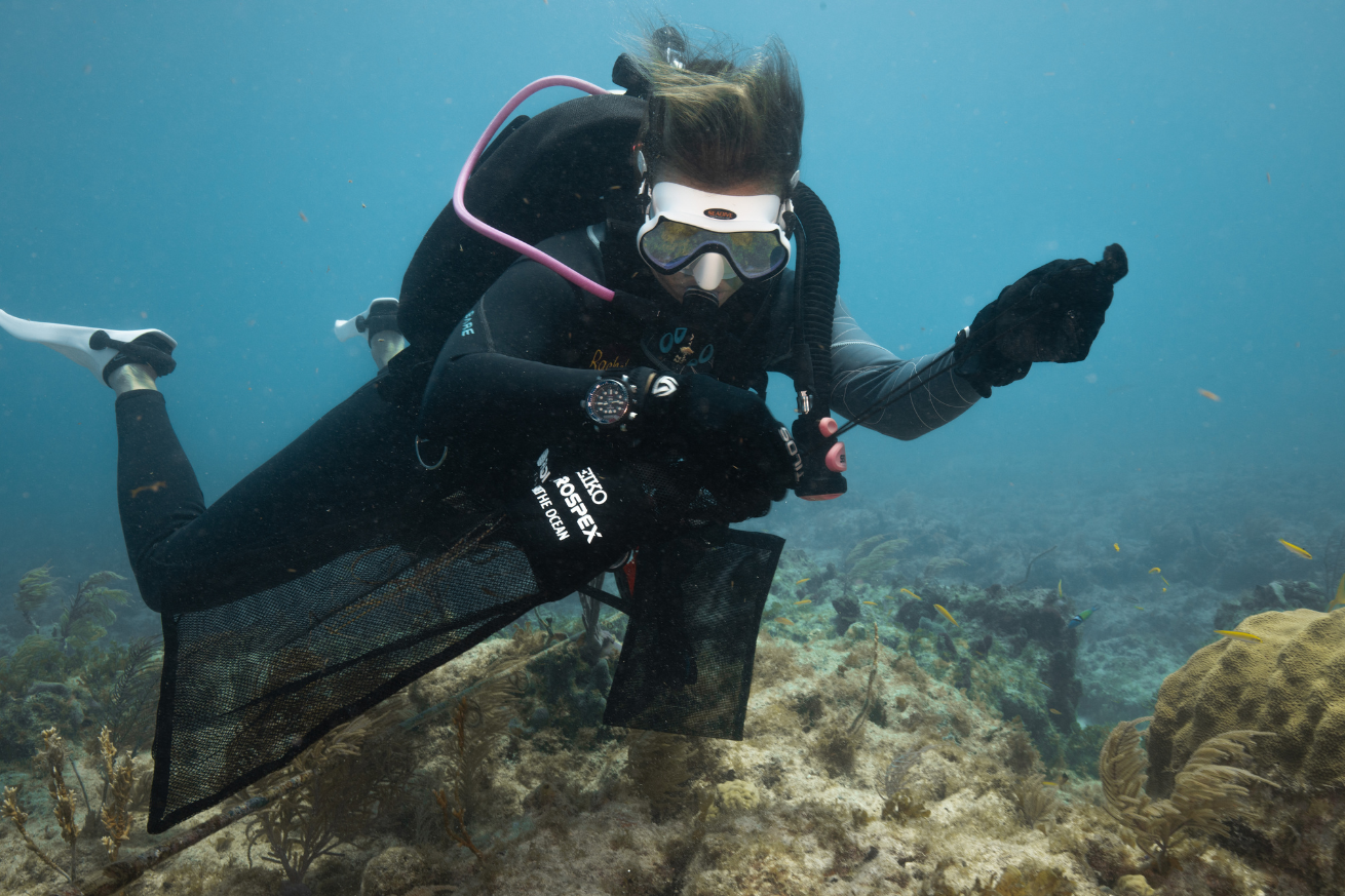 Diver cleaning trash from ocean