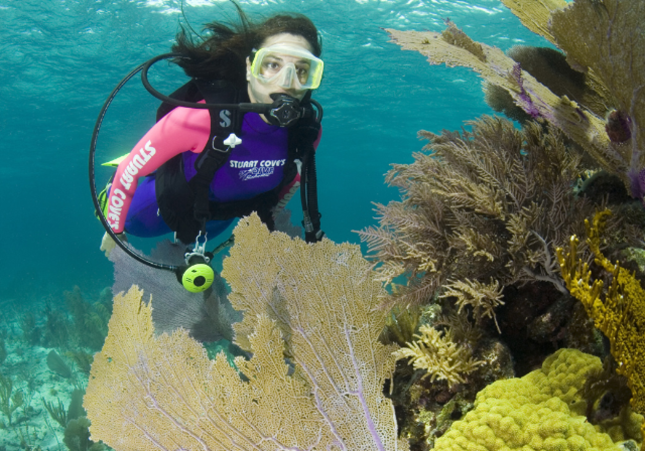 Scuba diver with coral