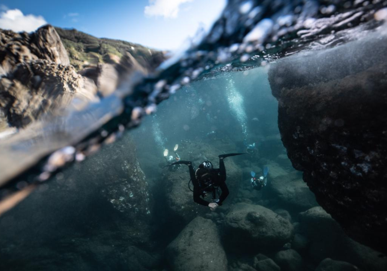 A scuba diver underwater on a rocky reef  