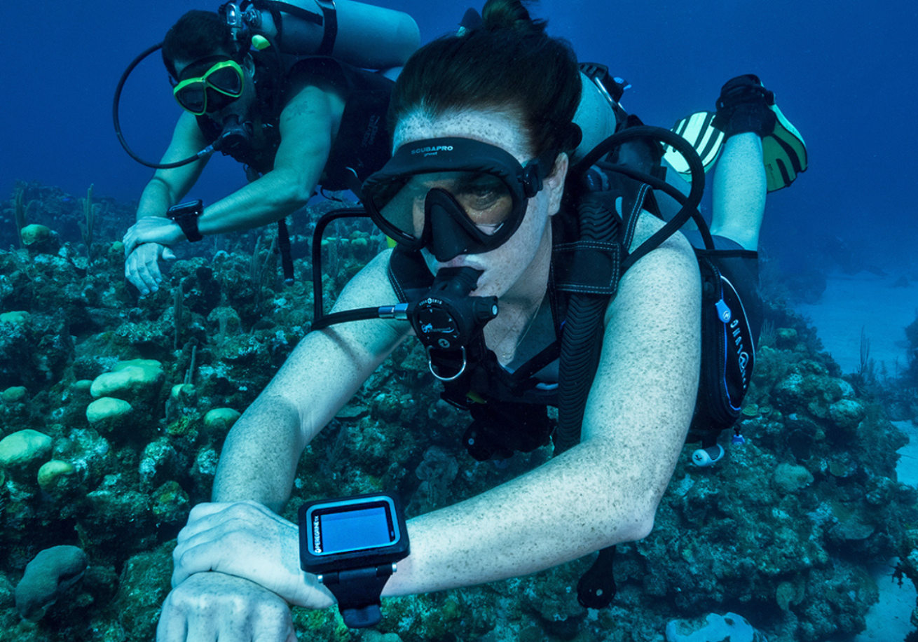 A couple of scuba divers underwater