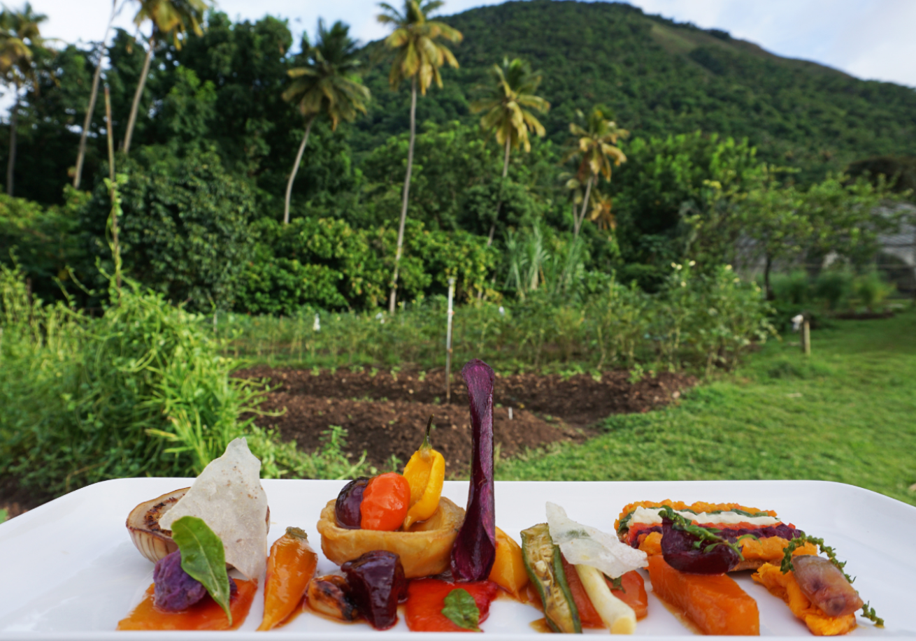 A plate of food on a table with trees in the background