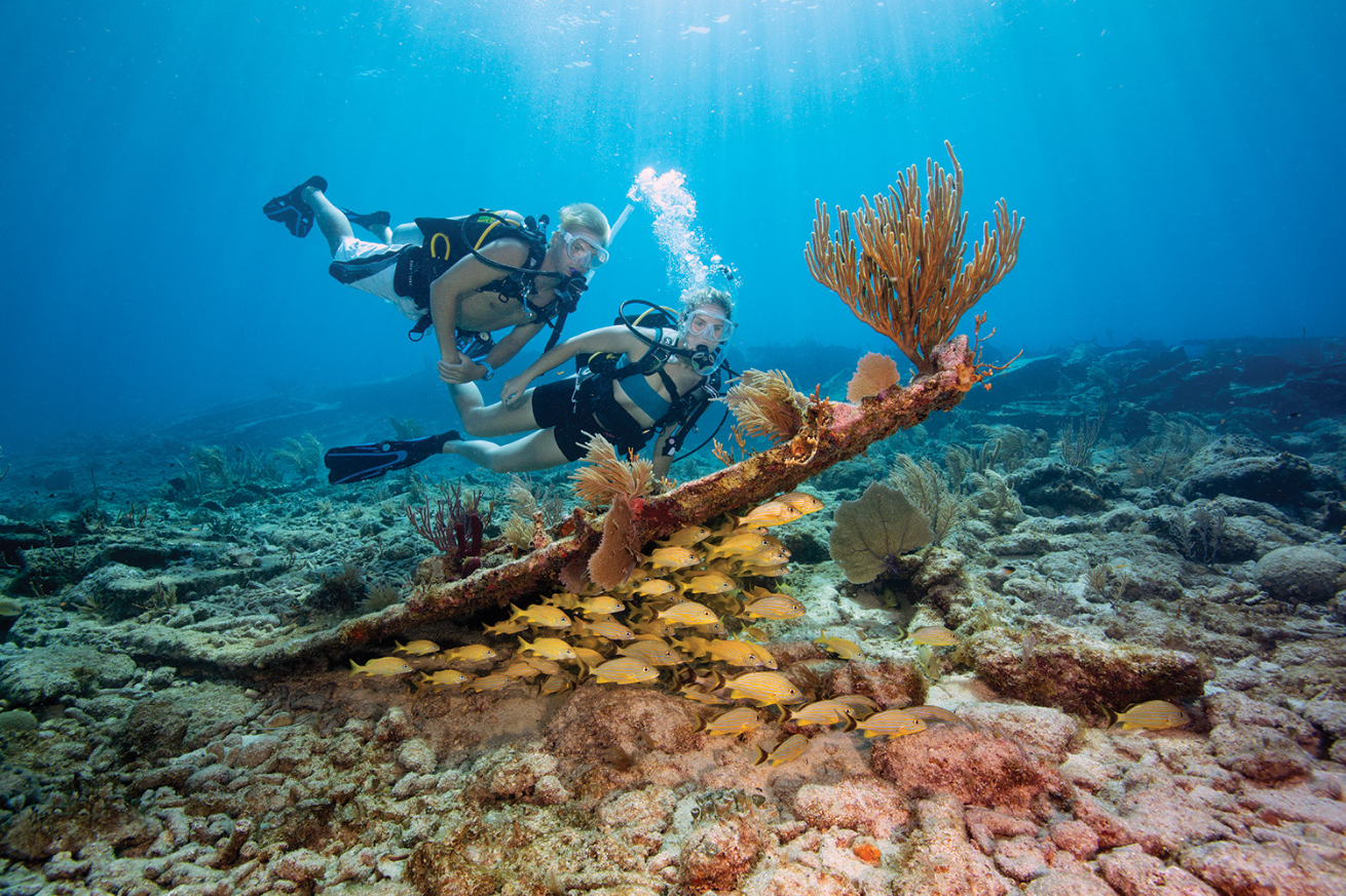 A couple of people scuba diving under water