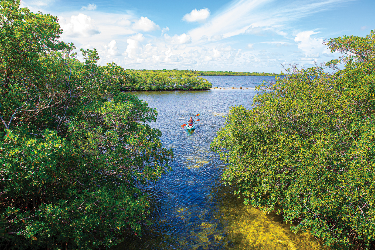 A person in a canoe in a body of water surrounded by trees