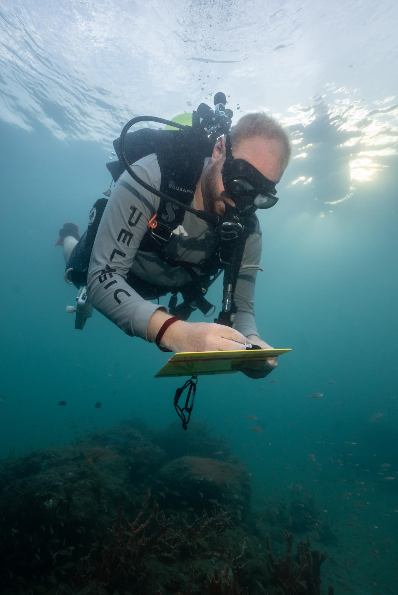 scuba diver underwater writing on a clipboard