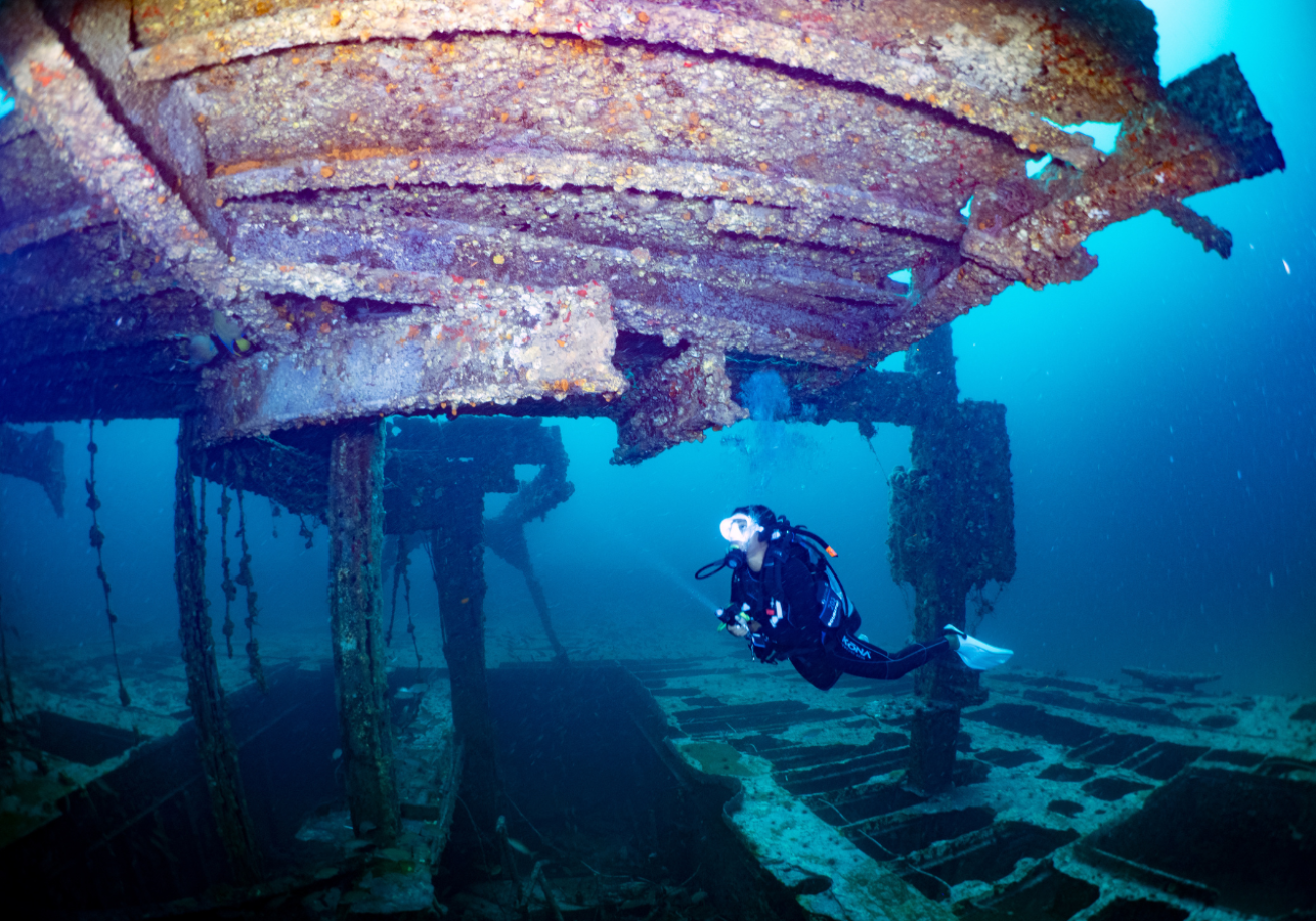 A person in scuba gear underwater