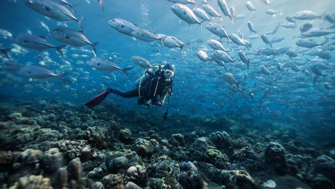 Pinpoint neutral buoyancy is nirvana when you achieve it, but it's common for new divers to struggle with finding their sweet spot underwater. There are a number of factors involved, but understanding how adding air to your BC impacts your buoyancy, especially when that air becomes trapped, is key to maintaining control of your buoyancy.